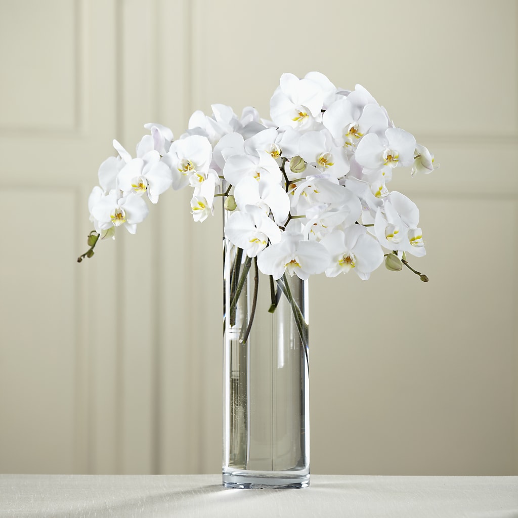 White Phalaenopsis Bouquet – DIANA'S FLOWERS, Oak Hills CA