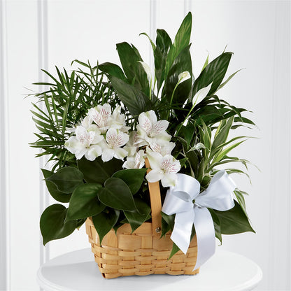 Peace & Serenity Dishgarden – DIANA'S FLOWERS, Oak Hills CA