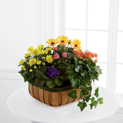 Gentle Blossoms Basket – DIANA'S FLOWERS, Oak Hills CA