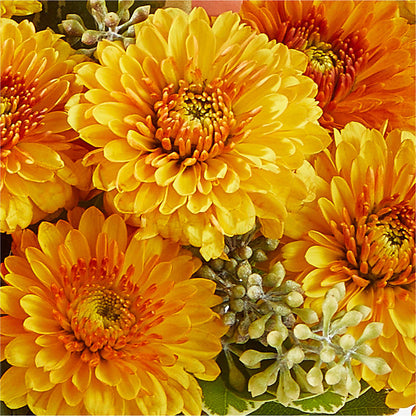 Peachy Pumpkin – DIANA'S FLOWERS, Oak Hills CA