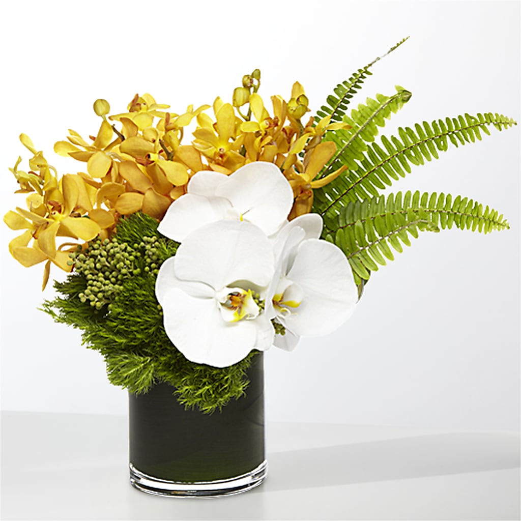 The Tropics – DIANA'S FLOWERS, Oak Hills CA