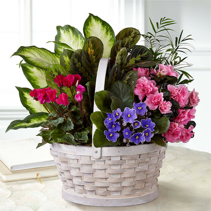 Peaceful Garden Planter – DIANA'S FLOWERS, Oak Hills CA