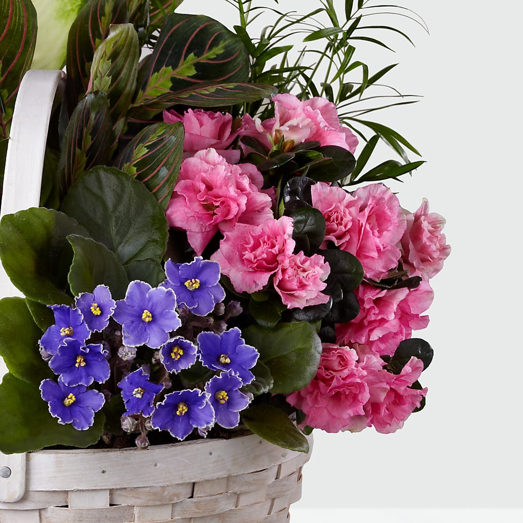 Peaceful Garden Planter – DIANA'S FLOWERS, Oak Hills CA