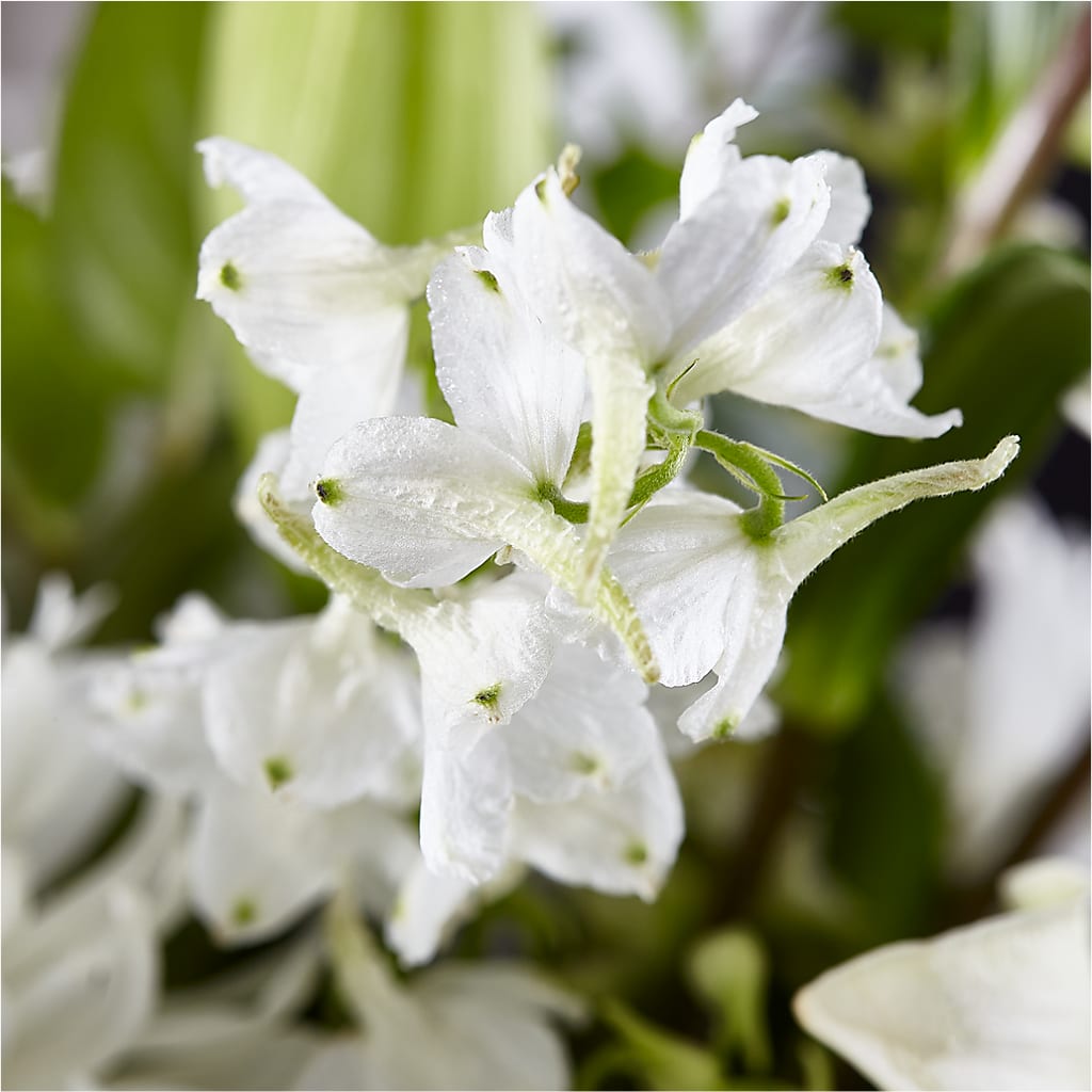 Classic Ivory – A Florist Original – DIANA'S FLOWERS, Oak Hills CA