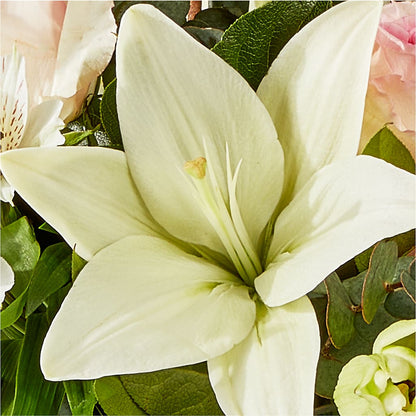 Ballet Slippers Bouquet – DIANA'S FLOWERS, Oak Hills CA