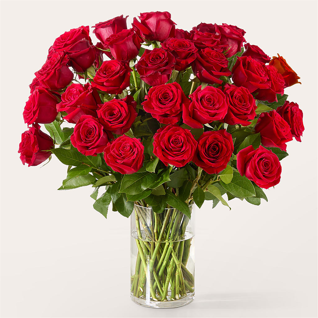 The One Red Rose Bouquet – DIANA'S FLOWERS, Oak Hills CA